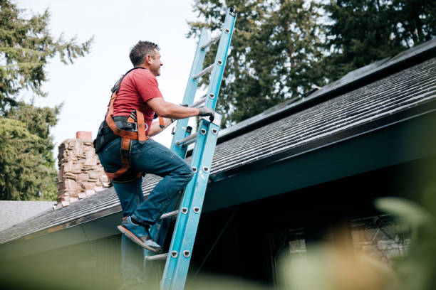 Best Roof Waterproofing  in Christopher, IL